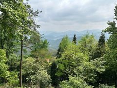 -莫干山风景区