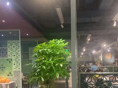 -百年果林椰子鸡(中洲店)