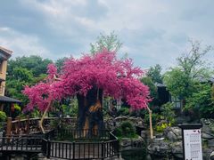 -鲜璟山院