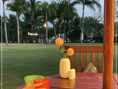 -宴悦海鲜餐厅·游水海鲜·牛排(亚龙湾瑞吉店)