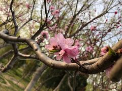 -大兴滨河森林公园