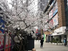 -绿地风尚天地广场
