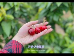 -水云涧温泉滑雪度假区