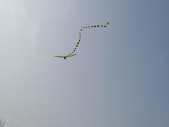 -长白岛森林公园