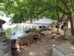 -北京市海淀外国语实验学校