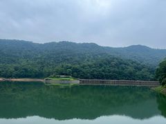 -桃花岭景区