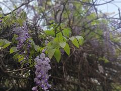 -府河摄影公园