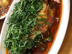 -老字号怡玺·藿香雅鱼(20年雅安店)