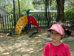-广东花都香草世界旅游度假区
