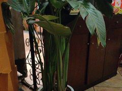 -火舞泰·泰式海鲜火锅餐厅(世纪城店)