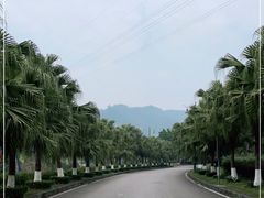 -重庆南山海昌汤都