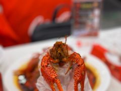 -簋街仔仔小龙虾(总店)