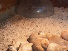 -正佳雨林生态植物园