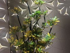 -重庆九记老火锅(张掖路店)