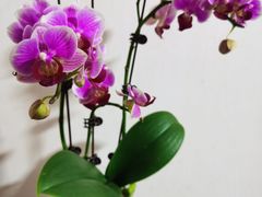 -公园前(地铁站)
