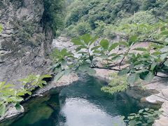 -黑河国家森林公园
