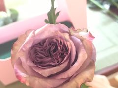 -森野花艺培训·企业团建活动沙龙