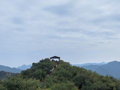 -大岭沟猕猴桃谷风景区