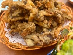 -后卫寨猫耳朵(后卫寨店)