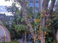 -悦见花开·花园里的火锅·露营·下午茶