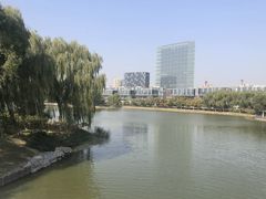 -大兴滨河森林公园