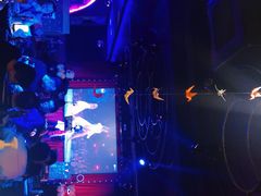 -枫林晚音乐串吧