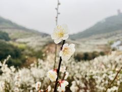 -原乡小镇度假乐园