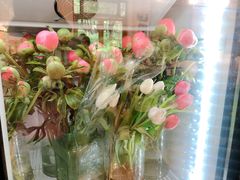 -知物癖(牛王庙店)