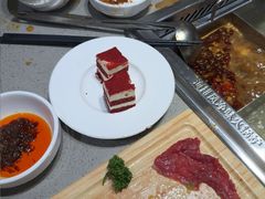 -海底捞火锅(赛格国际购物中心店)