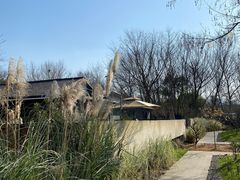 -木守西溪溪隐餐厅