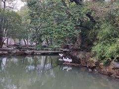 -兰亭风景区