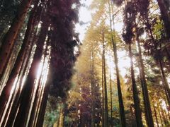 -山王坪喀斯特国家生态公园