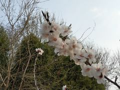 -奥林匹克森林公园南门-停车场