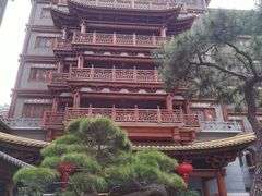 -大佛寺高级素食自助餐厅