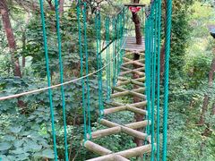 -芦仙山景区-飞越丛林探险乐园