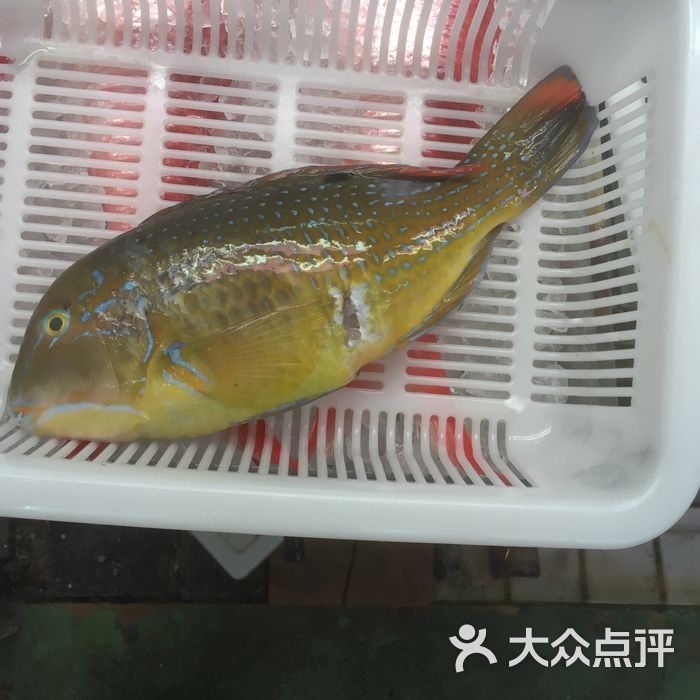 stal           将影学冰           将影学冰           小牧阿宝