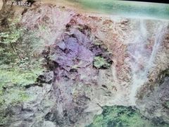 -南海湾森林生态园