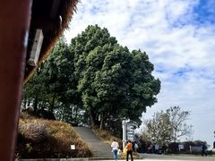 -广州市帽峰山景区