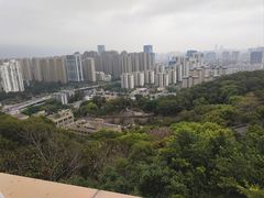 -金鸡山公园
