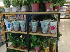-卜蜂莲花(岳阳店)