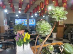 -香香腊排骨.野生菌火塘总店(束河店)