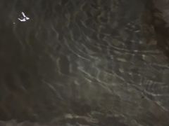 -大理地热国
