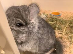 -龙猫仔乐园(惠福东路店)