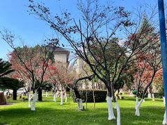 -云南师范大学(一二一西南联大校区)