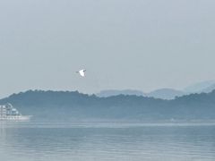 -池州市平天湖风景区