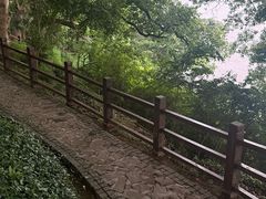 -平湖九龙山旅游度假区