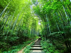 -南山风景名胜区