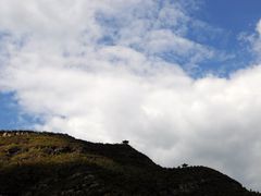 商户图片-百里山水画廊