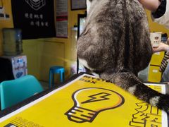-谜盒子奇幻密室(南屏店)