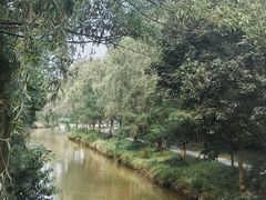 -日照海滨国家森林公园